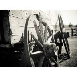 Ergonomic Steel Chair fr-FR